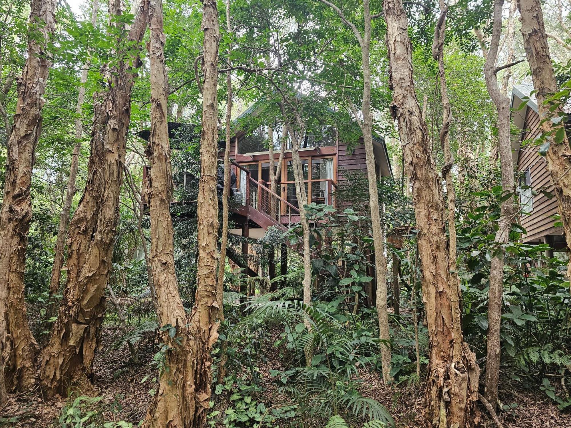 Hotel Wanderers Retreat Nelson Bay Zewnętrze zdjęcie
